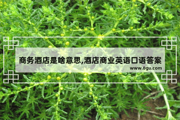 商务酒店是啥意思,酒店商业英语口语答案