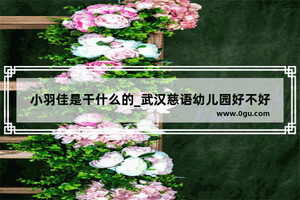 小羽佳是干什么的_武汉慈语幼儿园好不好