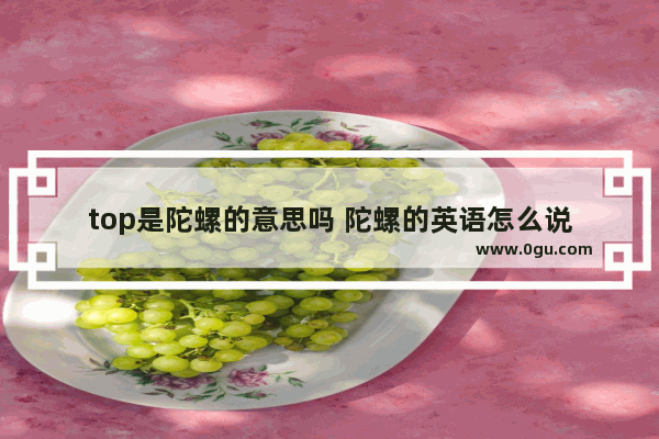 top是陀螺的意思吗 陀螺的英语怎么说