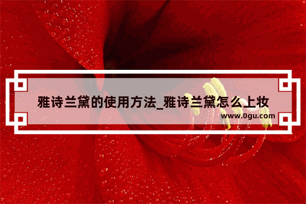雅诗兰黛的使用方法_雅诗兰黛怎么上妆