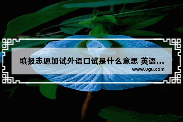 填报志愿加试外语口试是什么意思 英语口语考试报考志愿