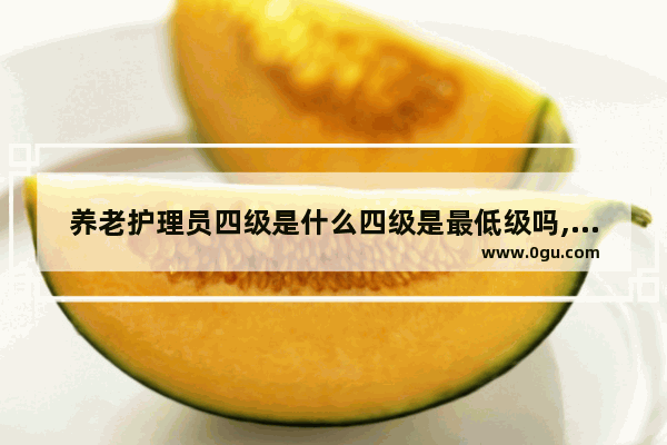 养老护理员四级是什么四级是最低级吗,英语四级是技能证明吗
