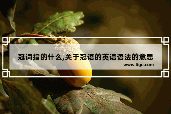 冠词指的什么,关于冠语的英语语法的意思