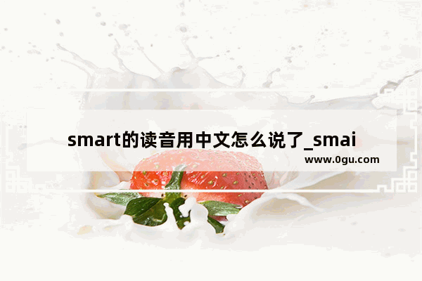 smart的读音用中文怎么说了_smaint中文怎么读