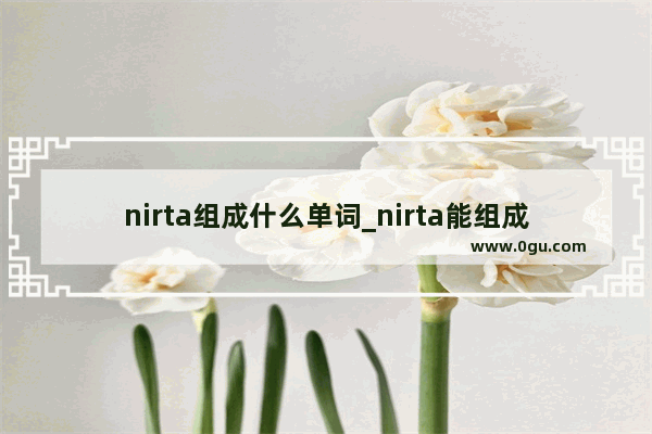nirta组成什么单词_nirta能组成什么单词