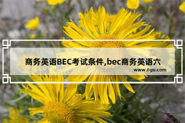 商务英语BEC考试条件,bec商务英语六级试题