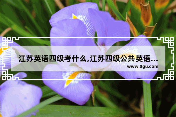 江苏英语四级考什么,江苏四级公共英语考试