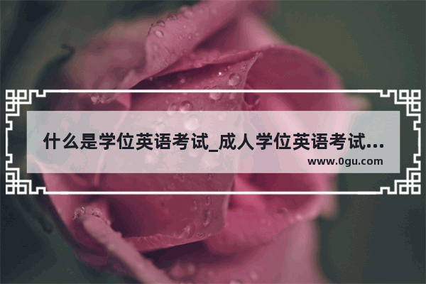 什么是学位英语考试_成人学位英语考试用什么书