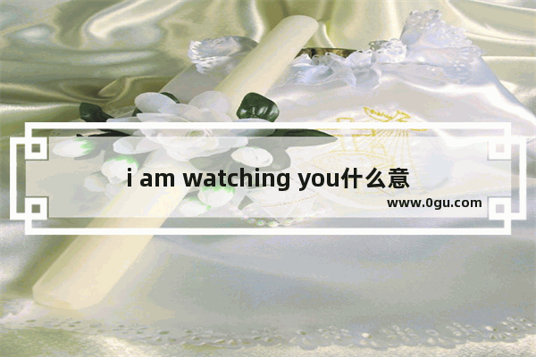 i am watching you什么意思_看着英语
