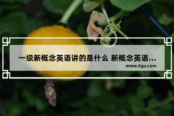 一级新概念英语讲的是什么 新概念英语一册