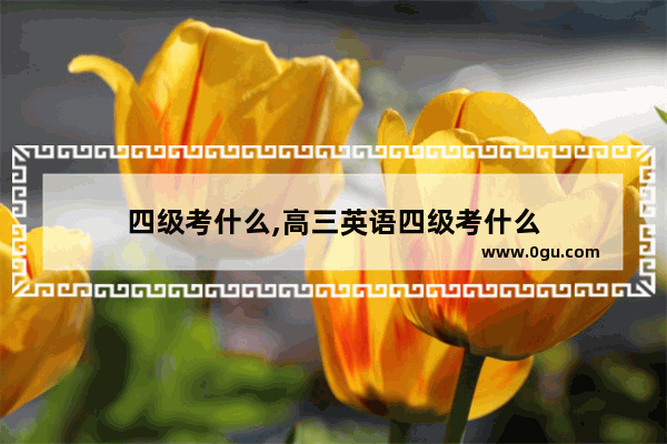 四级考什么,高三英语四级考什么