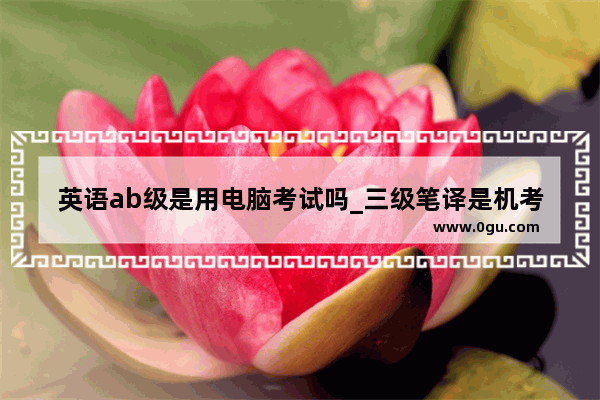 英语ab级是用电脑考试吗_三级笔译是机考吗