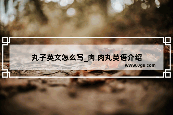 丸子英文怎么写_肉 肉丸英语介绍