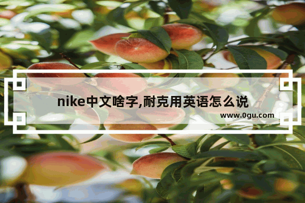 nike中文啥字,耐克用英语怎么说