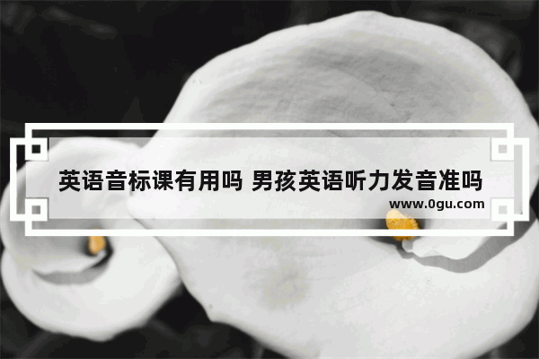 英语音标课有用吗 男孩英语听力发音准吗
