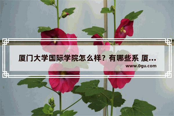 厦门大学国际学院怎么样？有哪些系 厦大雅思考点