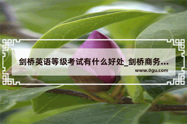 剑桥英语等级考试有什么好处_剑桥商务英语是国家资格考试吗