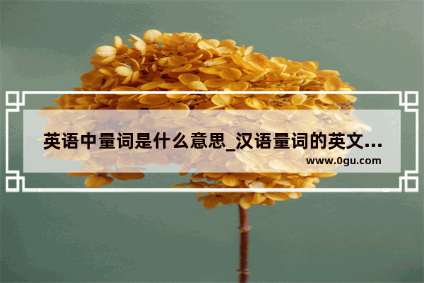 英语中量词是什么意思_汉语量词的英文表达