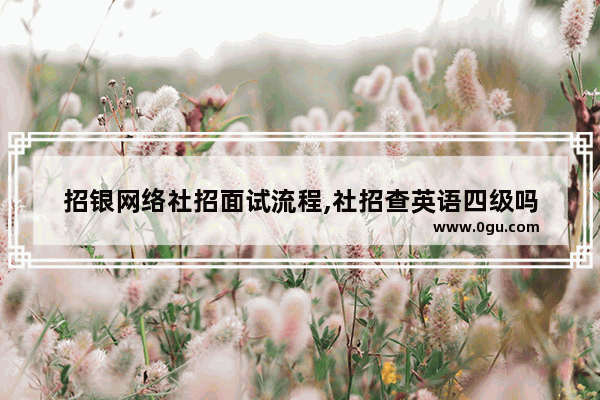招银网络社招面试流程,社招查英语四级吗