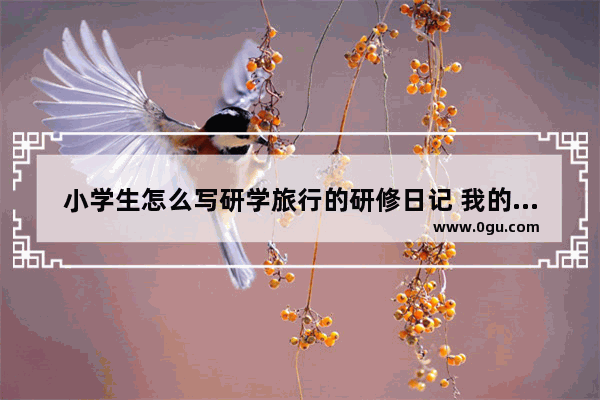 小学生怎么写研学旅行的研修日记 我的研修日志小学英语