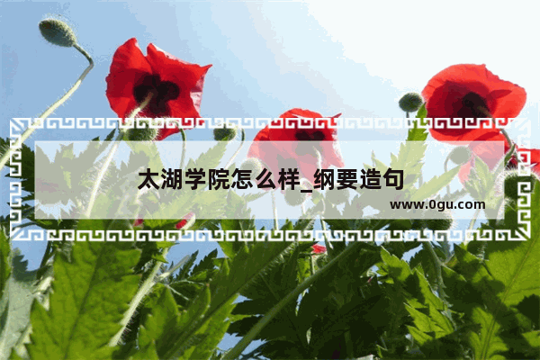 太湖学院怎么样_纲要造句
