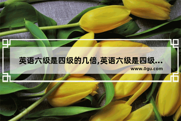 英语六级是四级的几倍,英语六级是四级的几倍