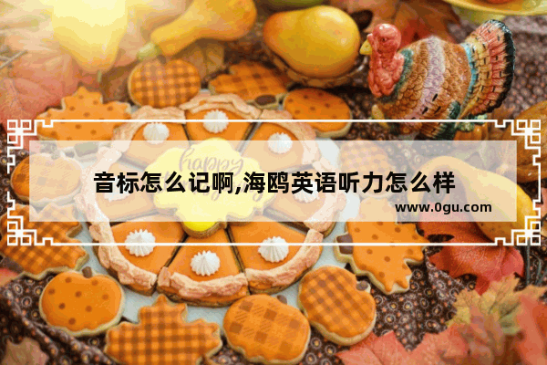 音标怎么记啊,海鸥英语听力怎么样