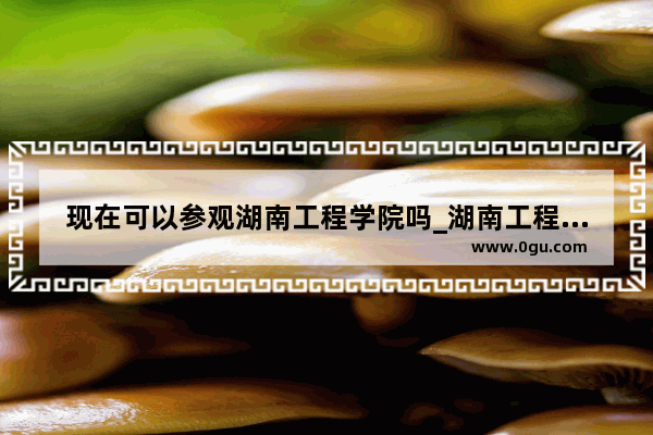 现在可以参观湖南工程学院吗_湖南工程学院介绍