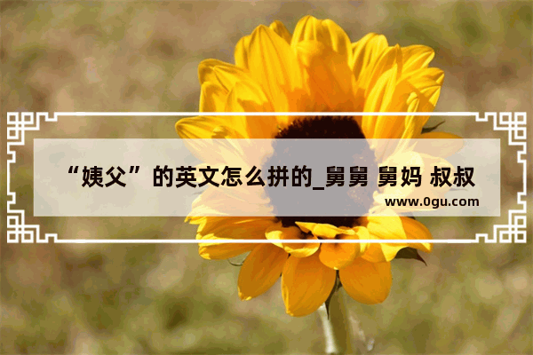 “姨父”的英文怎么拼的_舅舅 舅妈 叔叔 婶婶 姨妈 姨夫 姑姑 姑父 的英文怎么写