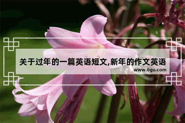 关于过年的一篇英语短文,新年的作文英语