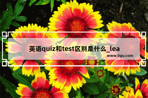 英语quiz和test区别是什么_lead time与delivery time的区别