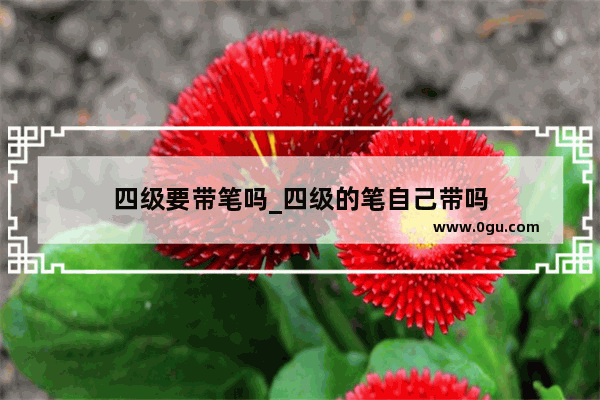 四级要带笔吗_四级的笔自己带吗