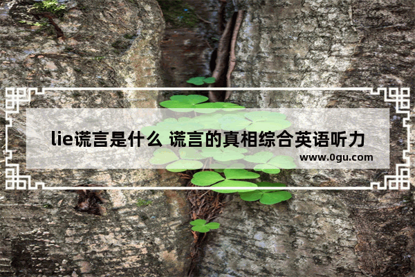 lie谎言是什么 谎言的真相综合英语听力