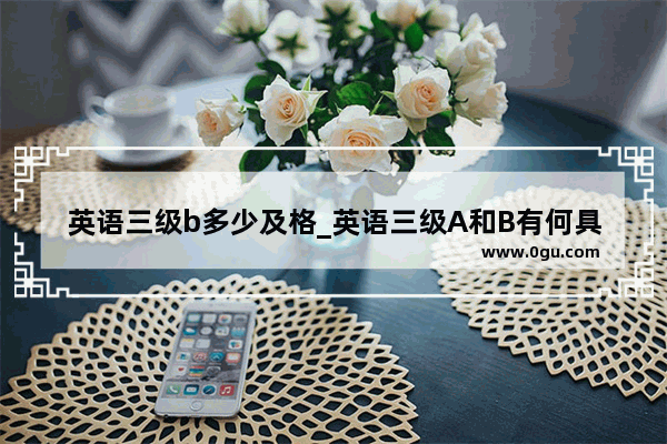 英语三级b多少及格_英语三级A和B有何具体区别