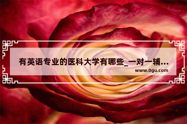 有英语专业的医科大学有哪些_一对一辅导多少钱?我家在南京。孩子初三了 我们想花点钱给他补习一下英语