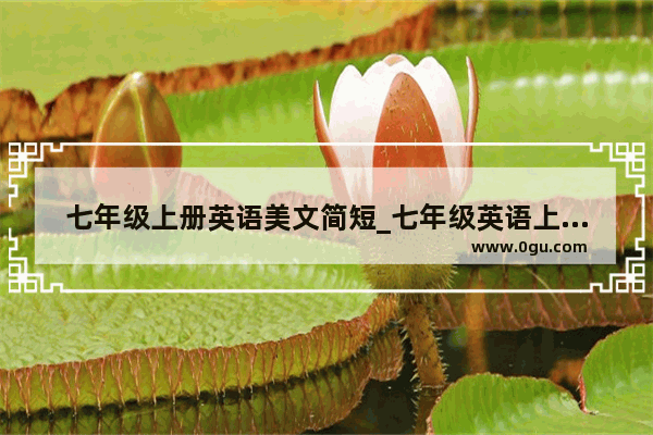 七年级上册英语美文简短_七年级英语上半学期主要学哪些内容