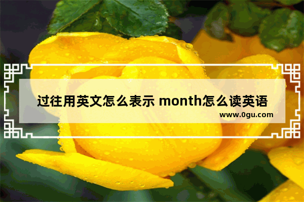 过往用英文怎么表示 month怎么读英语口语