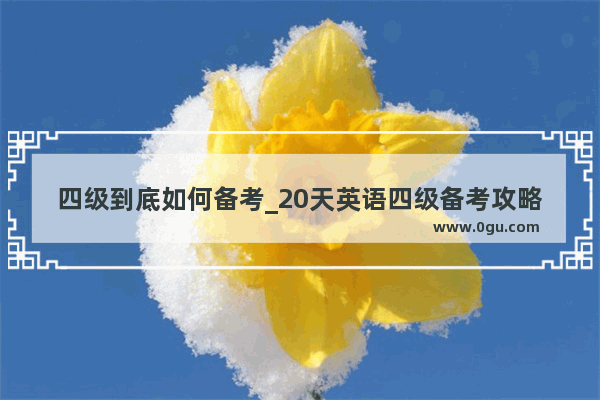 四级到底如何备考_20天英语四级备考攻略