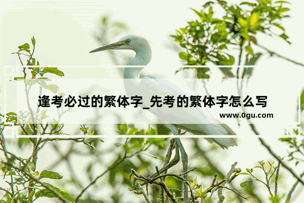 逢考必过的繁体字_先考的繁体字怎么写