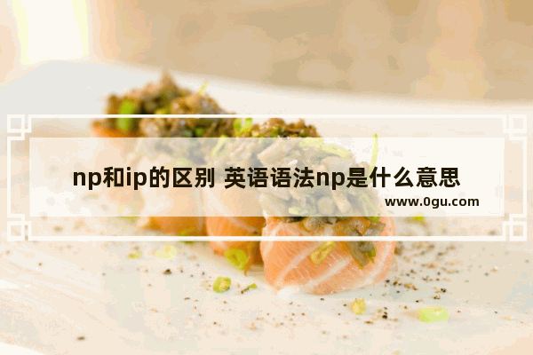 np和ip的区别 英语语法np是什么意思呢