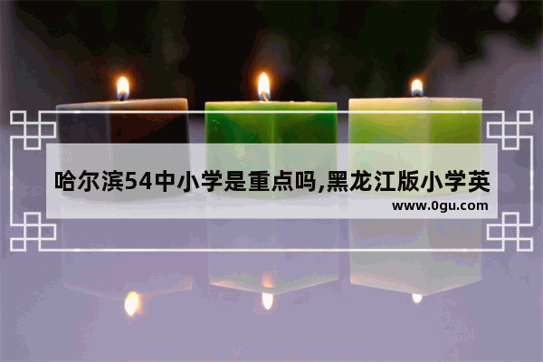 哈尔滨54中小学是重点吗,黑龙江版小学英语