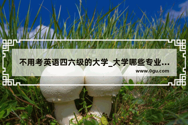 不用考英语四六级的大学_大学哪些专业不需要考英语四级