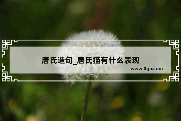 唐氏造句_唐氏猫有什么表现