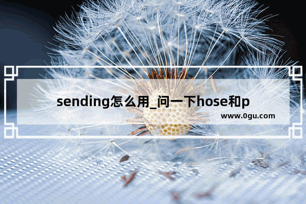 sending怎么用_问一下hose和pipe的区别