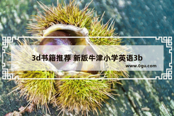 3d书籍推荐 新版牛津小学英语3b
