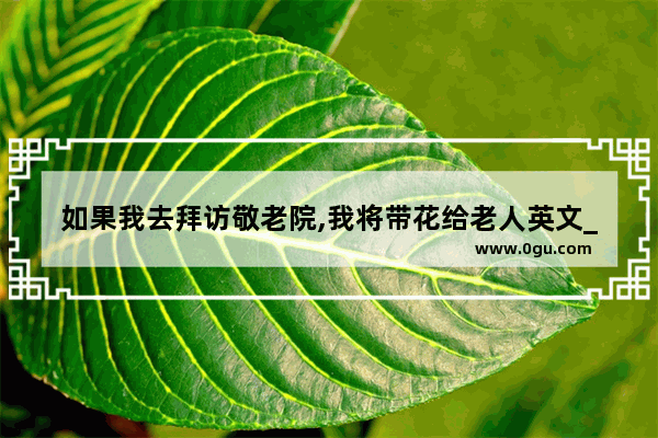 如果我去拜访敬老院,我将带花给老人英文_找一些有关建筑物的英语单词