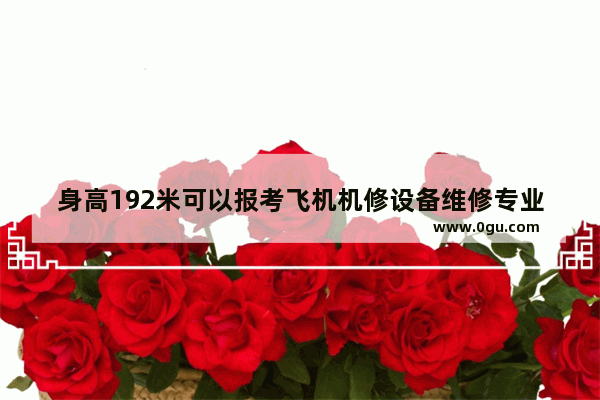 身高192米可以报考飞机机修设备维修专业吗,英语听力模拟训练192