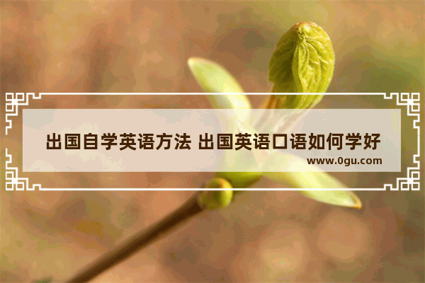 出国自学英语方法 出国英语口语如何学好