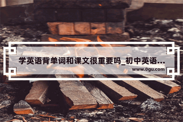 学英语背单词和课文很重要吗_初中英语学习最重要的什么