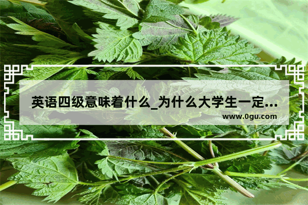 英语四级意味着什么_为什么大学生一定要考英语4级